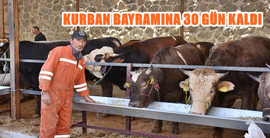 Gümüşhane Belediyesi, Kurban satış pazarında hayvan satışı yapacak üreticilere en