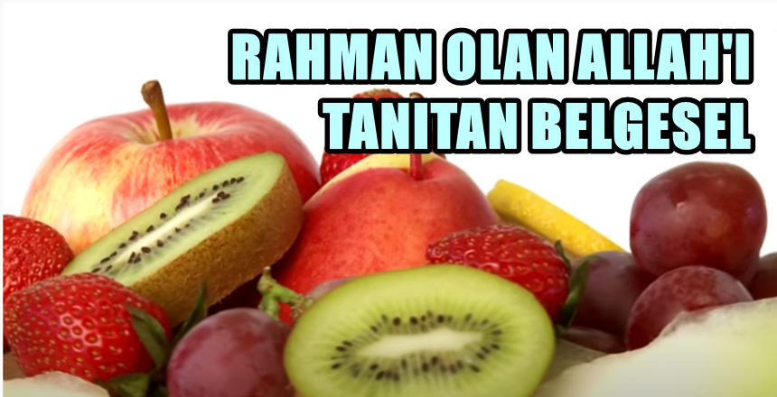 KAYNAK: FEYYAZTV KAYNAK: https://www.feyyaz.org/ https://www.feyyaz.tv