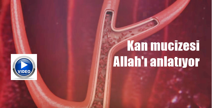 KAYNAK FEYYAZ TV AKTİF LİNKLER: https://www.feyyaz.org/ https://www.feyyaz.tv