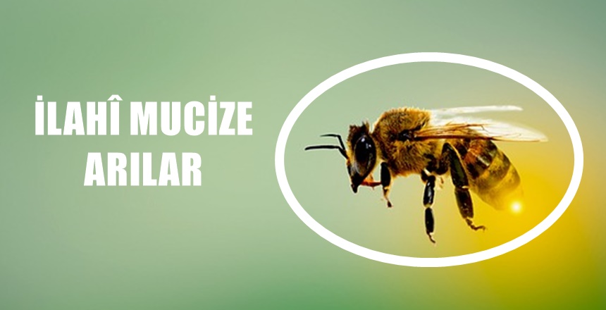 KAYNAK: FEYYAZ TV AKTİF LİNKLER: https://www.feyyaz.org/ https://www.feyyaz.tv