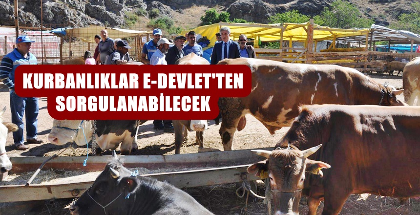 Kurban Bayramı yaklaşırken Gümüşhane İl Tarım ve Orman Müdürlüğü kontrol