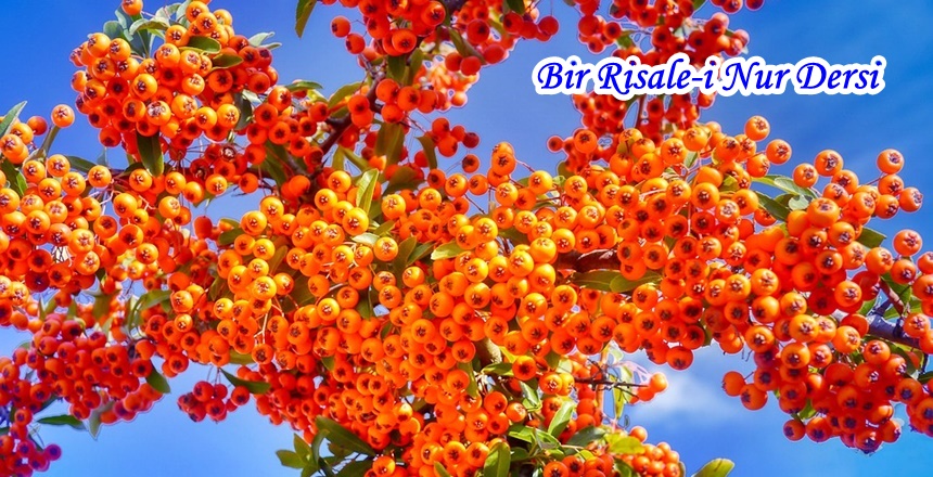 RİSALE-İ NUR KÜLLİYATI / ŞUALAR / 7.ŞUA – ÂYET-İ KÜBRA’DAN