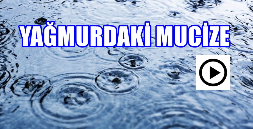 KAYNAK: FEYYAZ TV AKTİF KAYNAK LİNKLER: https://www.feyyaz.org/ https://www.feyyaz.tv