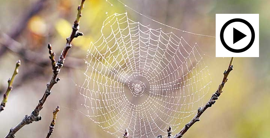 KAYNAK: FEYYAZTV AKTİF KAYNAK LİNLER: https://www.feyyaz.org/ https://www.feyyaz.tv