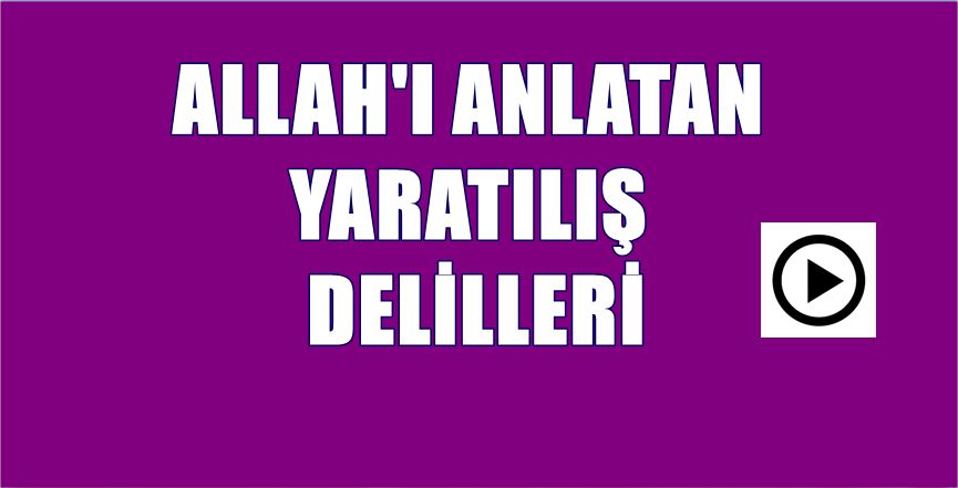 Allah (c.c.); bu kuşa mühendislik harikası yuvayı yaptırıyor. Sevk-i İlahî