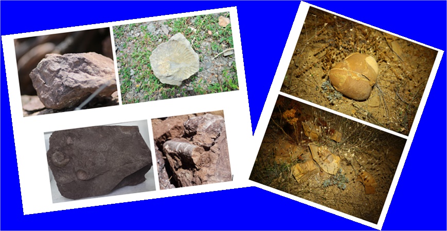 ARAŞTIRMACI YAZAR ADEM EZBER Kadim şehir Gümüşhanemizin çok fazla bilinmeyen,