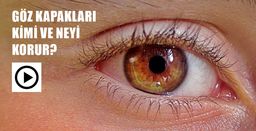 KAYNAK: FEYYAZ.TV KAYNAKLAR: https://www.youtube.com/user/SeyrangahTube https://www.instagram.com/feyyaztv https://www.facebook.com/feyyaztv https://twitter.com/feyyaztv https://www.feyyaz.tv