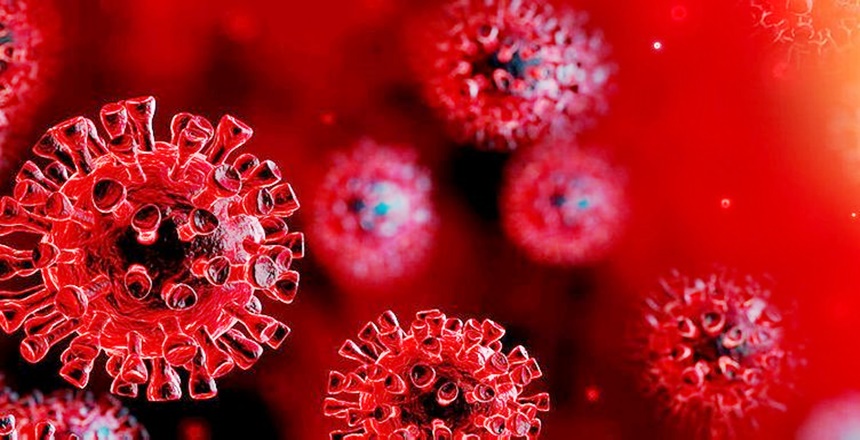 İÇİŞLERİ BAKANLIĞI İNTERNET SİTESİ HABERİ Bakanlığımız 81 il valiliğine Covid-19