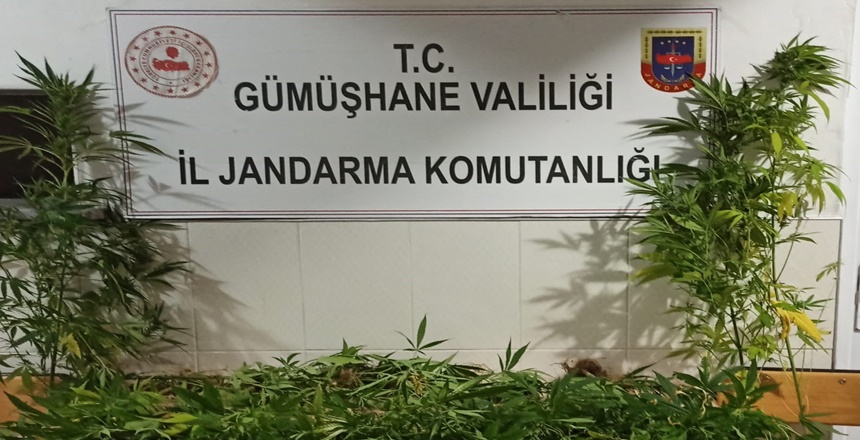 Gümüşhane İl Jandarma Komutanlığı ekipleri başarılı operasyonlara imza atmaya devam