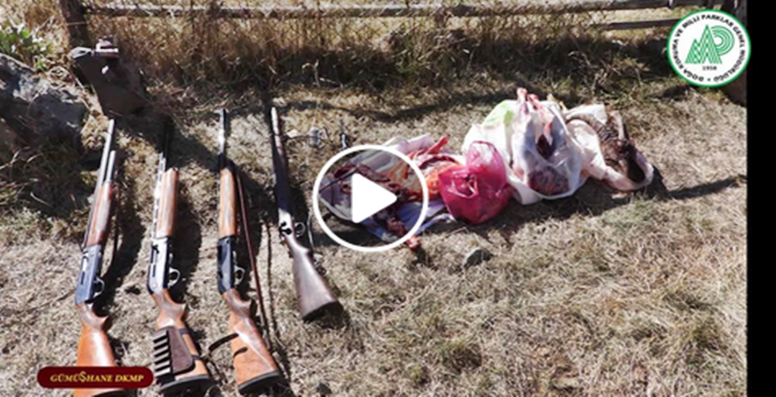 Doğa Koruma ve Milli Parklar Gümüşhane Şube Müdürlüğü ekiplerince kilometrelerce