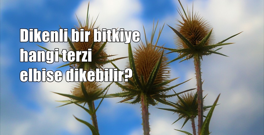 RİSALE-İ NUR KÜLLİYATI – MESNEVİ-İ NURİYE’DEN Ey kâfir! Bunu işittikten