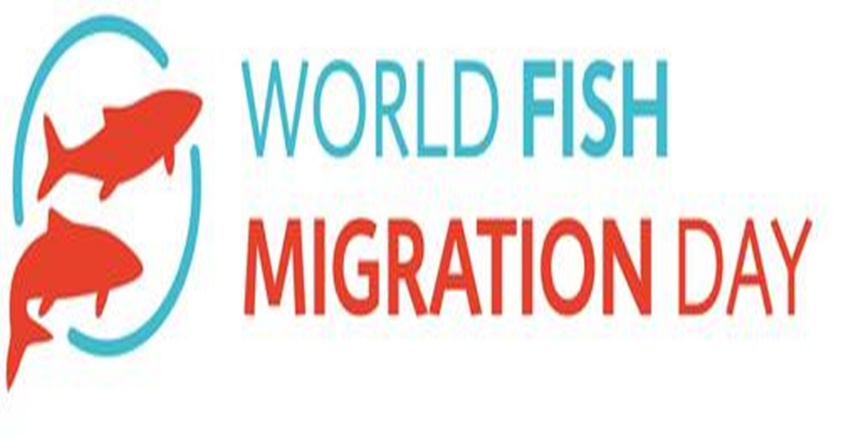 S. Vedat Karaarslan Arkeolog- Elektronik Mühendisi (MSc.) Şimdilerde kıyıya vuruyor