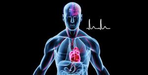 İnsan vücudu üzerinde yaklaşık 700 Biyolojik Aktif Nokta (BAN) bulunur.