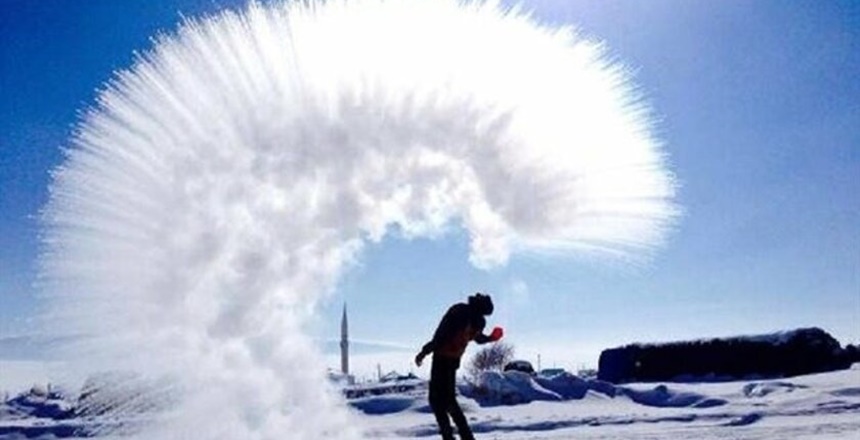 HASAN PİR YAZDI Hayat, bütün canlılarla olan ortaklığımızın diğer bir