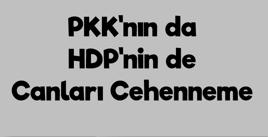 Terör örgütü PKK tarafından kaçırılarak, Gara’da kalleşçe Şehit edilen 13