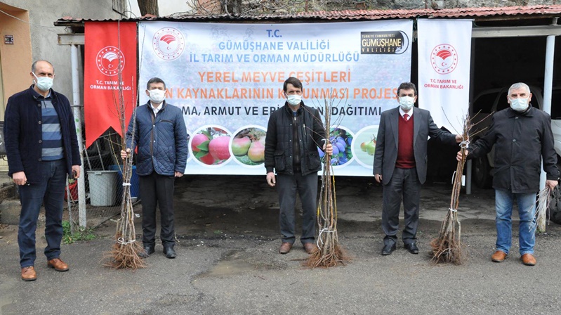 Gümüşhane’de yerel meyve çeşitlerinin korunması için çiftçilere 4 bin adet