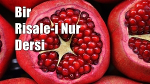 RİSALE-İ NUR KÜLLİYATI’NDAN “Küre-i arz mağazasından me’kûlât ve meşrûbat ve