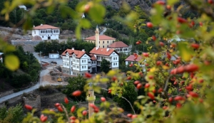 Gümüşhane Valiliği Basın ve Halkla İlişkiler Müdürlüğü tarafından hazırlanmıştır. İpek