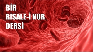 RİSALE-İ NUR KÜLLİYATI SÖZLER KİTABI 32.SÖZ’DEN “Sâni’-i Hakîm, beden-i insanı