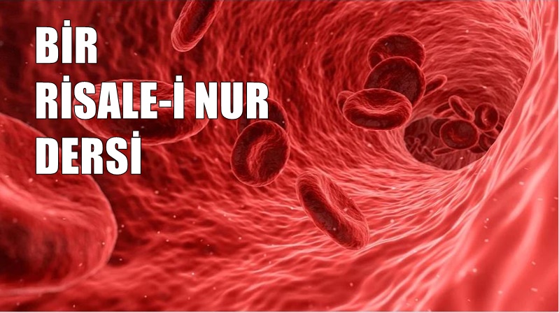 RİSALE-İ NUR KÜLLİYATI SÖZLER KİTABI 32.SÖZ’DEN “Sâni’-i Hakîm, beden-i insanı