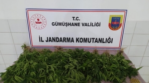 Gümüşhane İl Jandarma Komutanlığı Kaçakçılık ve Organize İşler Şube Müdürlüğü