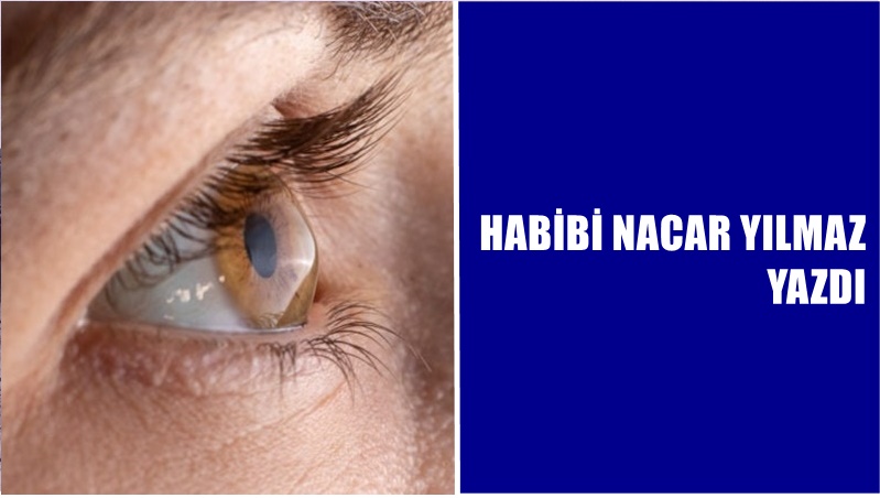 Habibi Nacar Yılmaz Bir saray düşünün penceresi yok. Penceresi unutulmuş.