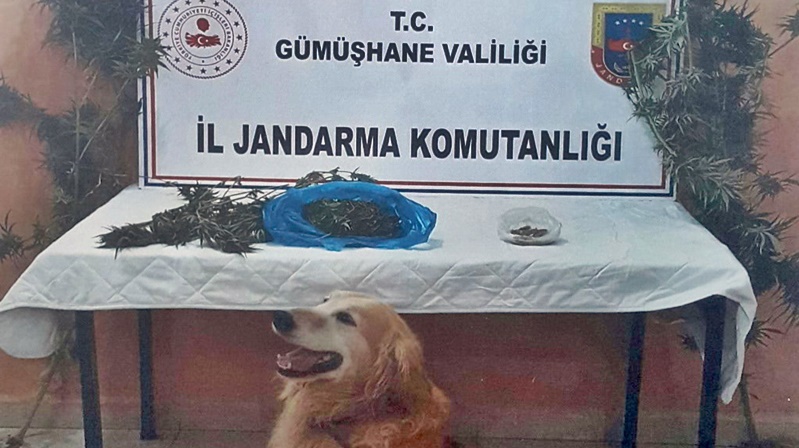 Gümüşhane il Jandarma Komutanlığı Kaçakçılık ve Organize Suçlar Şube Müdürlüğü
