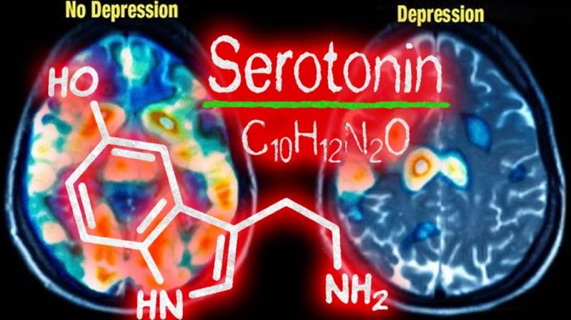 S. Vedat Karaarslan  Arkeolog- Elektronik Mühendisi (MSc.)  Beynin yaşa bağlı