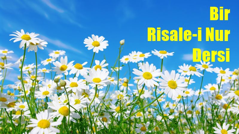 Haşir akidesinin pek çok ruhî faydalarından ve hayatî neticelerinden bir