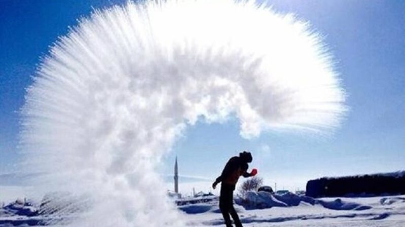 Hasan Pir Hayat, bütün canlılarla olan ortaklığımızın diğer bir adıdır.