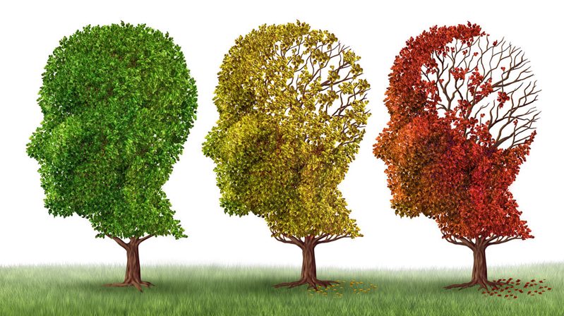 Dr. Sevda Sarıkaya’nın açıklamaları Demans hastalarının oruç tutması sakıncalı. Açlık