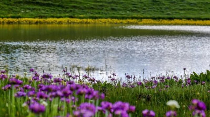 S. Vedat Karaarslan, Arkeolog- Elektronik Mühendisi (MSc.) Gümüşhane merkez ilçeye