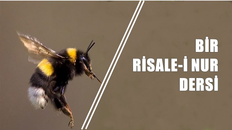 Bediüzzaman Said Nursi Hazretleri Risale-i Nur Külliyatı’nda vesvese, evham ve