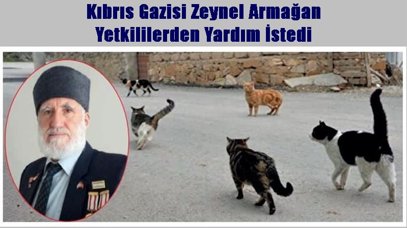 Gümüşhane Olay Gazetesi’nin Haberi Gümüşhane’nin pek çok köyünde kış mevsiminde