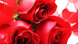 Hasan (ra) rivayet ediyor. Resulullah (asm) şöyle buyurdular: “Nerde olursanız