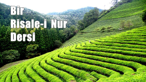 Risale-i Nur Külliyatı / Sözler Kitabı / 33. Söz’den 22.