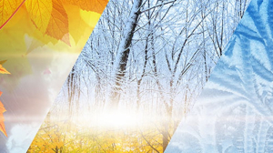 Çevre, Şehircilik ve İklim Değişikliği Bakanlığı Meteoroloji Genel Müdürlüğü il