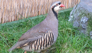 Konu ile ilgili olarak Tarım ve Orman Bakanlığı’nca yapılan açıklama