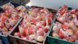 Gümüşhane’de ekmek üreterek deprem bölgesine gönderen fırıncılar ve işletmeler ekmekleri