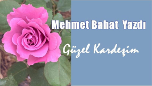 Güzel Kardeşim; Bendeniz son derece gönüllü olarak oyumu Sayın Cumhurbaşkanımıza