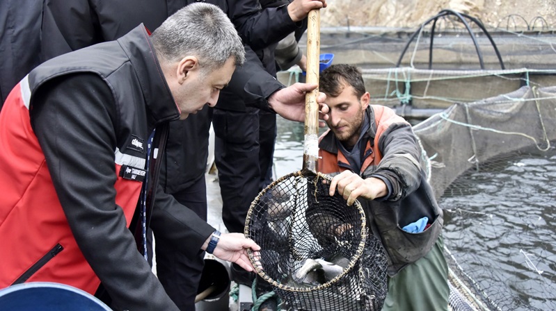 Denize kıyısı olmayan Gümüşhane’de elektrik için üretilen baraj göllerinde yetiştirilen