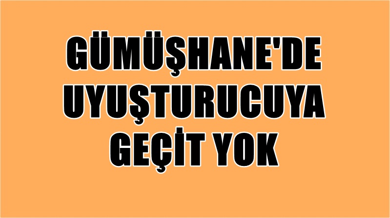 Gümüşhane’de İl Emniyet Müdürlüğü ekiplerinin kent merkezi ve Kürtün ilçesinde
