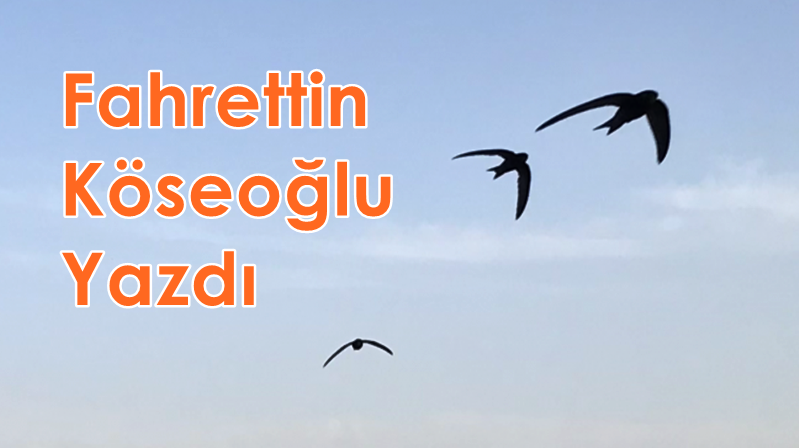 Fahrettin Köseoğlu Yarattığı kullarının Rabbimize düşman olması kulların büyük bir
