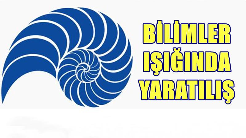 Doç.Dr.Ahmet KAVLAK Bir iğnenin kendi kendine olmadığı, bir harfin kendi