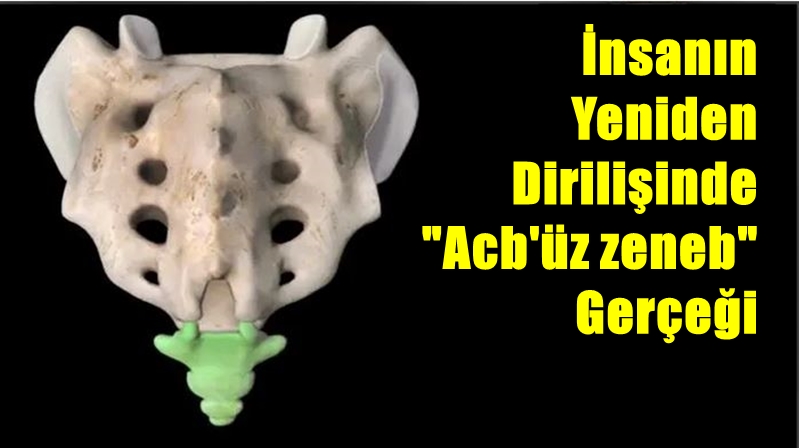 Yazar: Prof. Dr. İsmail Kocaçalışkan / Yıldız Teknik Üniversitesiz Fen-Edebiyat