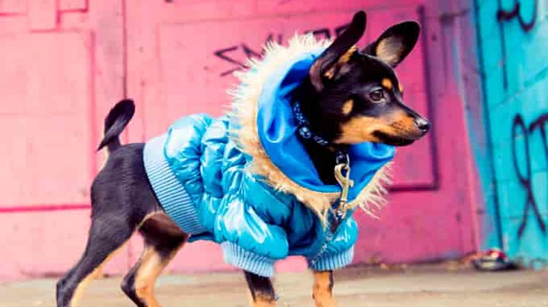 Fahrettin Köseoğlu –&nbsp; Yüz elli milyar dolar ile ne yapılır?