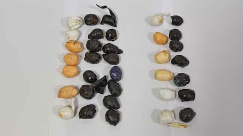 Gümüşhane’de İl Emniyet Müdürlüğü Narkotik Suçlarla Mücadele Şube Müdürlüğü ekipleri