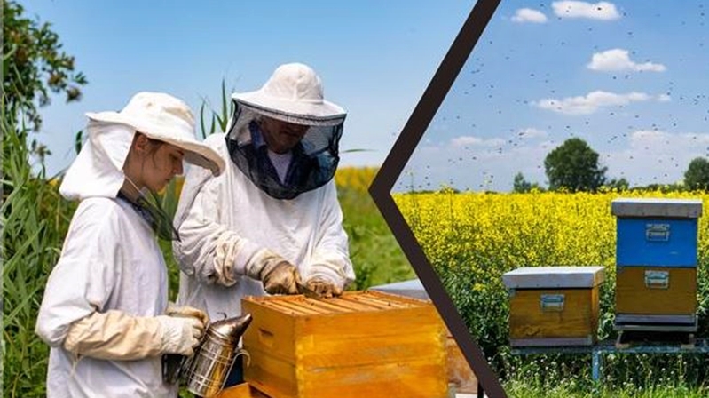 Tarım ve Orman Bakanı İbrahim Yumaklı, ülkenin arıcılık ile ilgili