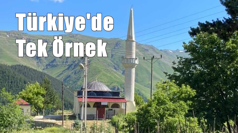 Gümüşhane’nin Torul ilçesine bağlı 1850 metre rakımdaki Güzeloluk köyünde 142