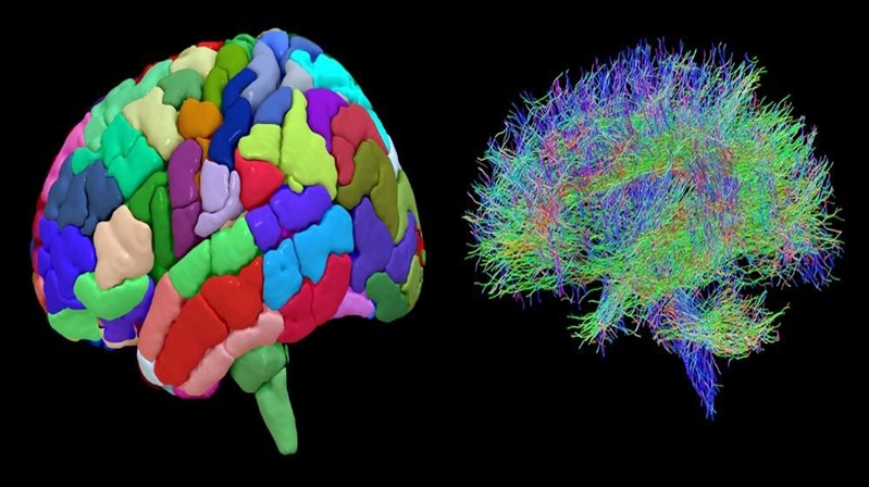 S. Vedat Karaarslan, Arkeolog- Elektronik Mühendisi (MSc.) Birer gün ara